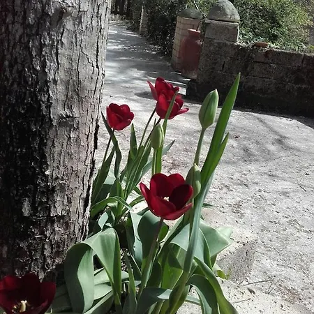 B&B La Spasella Uscerno